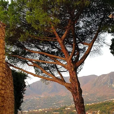 Casa Di Papa' Montefredane