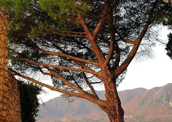Casa Di Papa' Montefredane